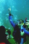 Diving Diving