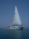 Sailing Sailing