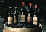 wine wine
